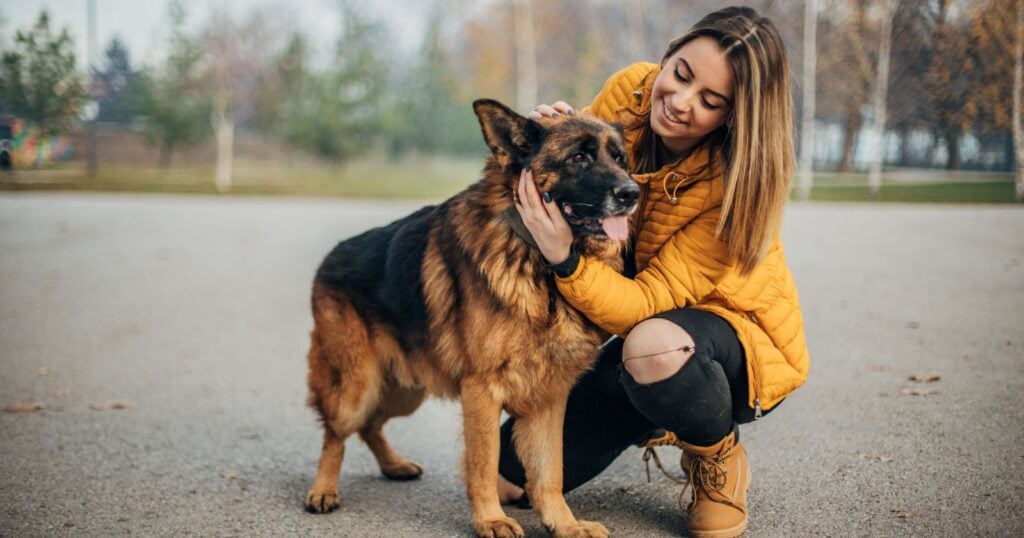 8 things dog owners do that reveal more about them than they realise